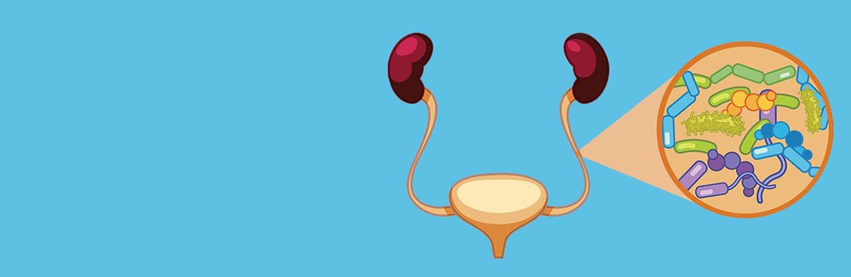 What are the Main Causes of UTI?