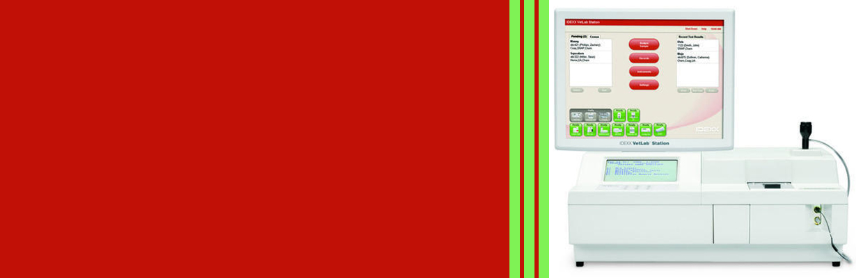 What is analyzer test?