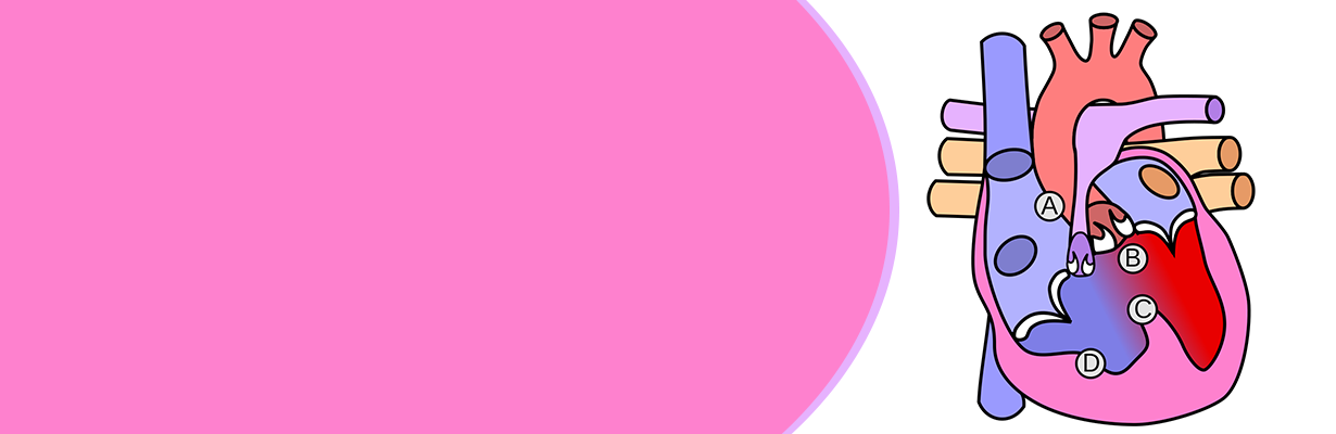 What is the tetralogy of fallot?