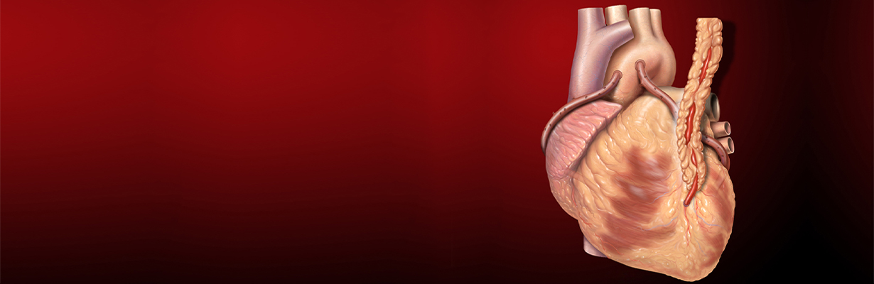 When should we go in for Bypass Surgery Recovery and Risk