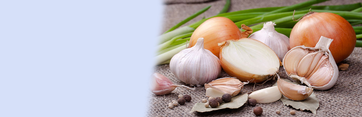 Why is it forbidden to eat onions and garlic during the festival/fasting?