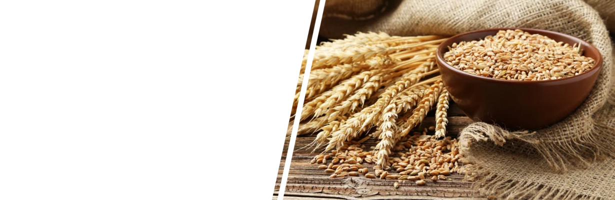 Why wheat is considered as a problem to Indian people?