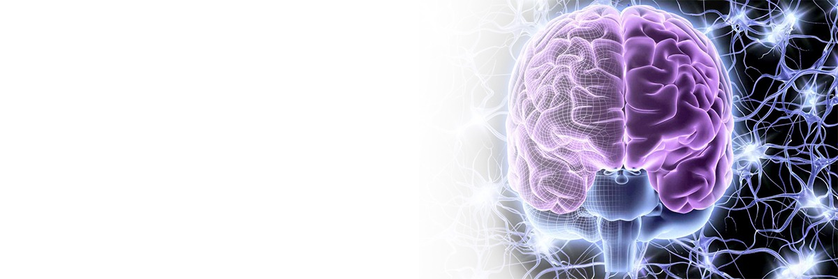Brain and Nervous System