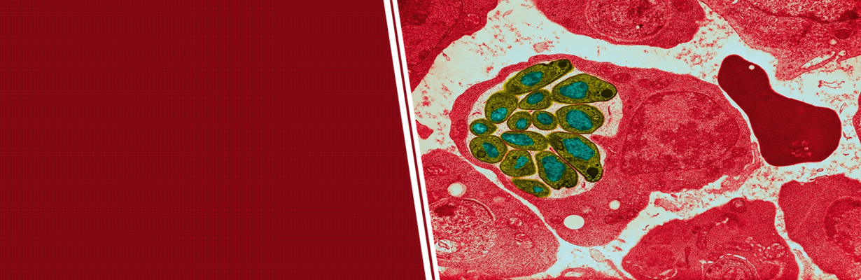 Is chloroquine resistance known in India?