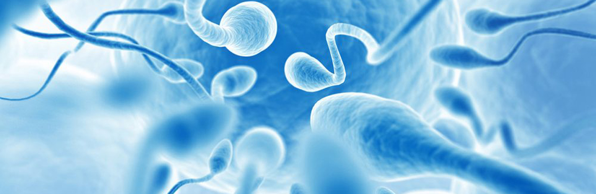 What are the causes of male infertility?