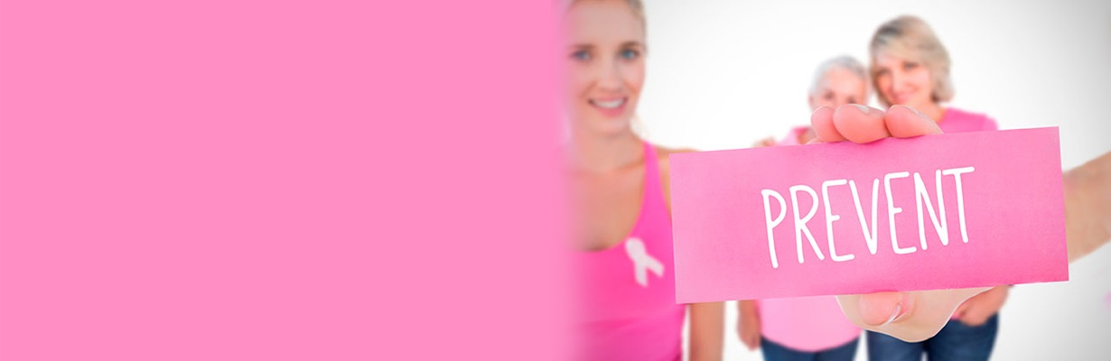 Can we Prevent Breast Cancer?