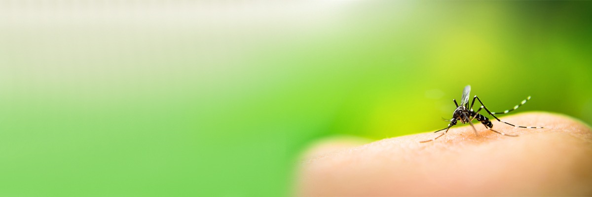 डेंगू: कारण, लक्षण, निदान और उपचार | Medtalks