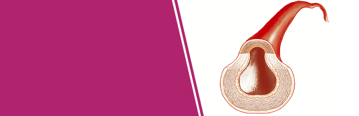 How should we check for endothelial functions?