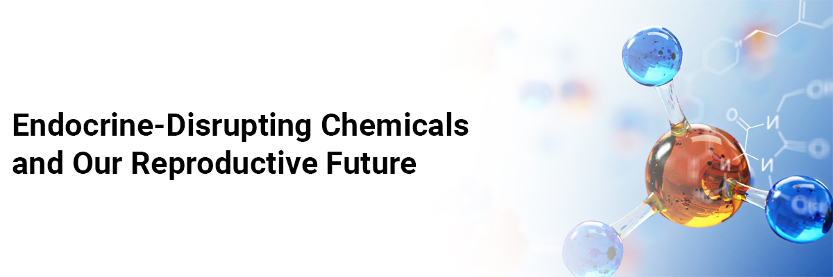 Endocrine-Disrupting Chemicals and Our Reproductive Future