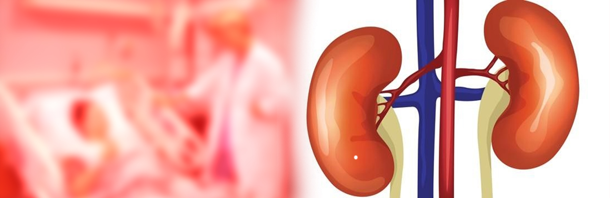 What are the common kidney diseases in community?