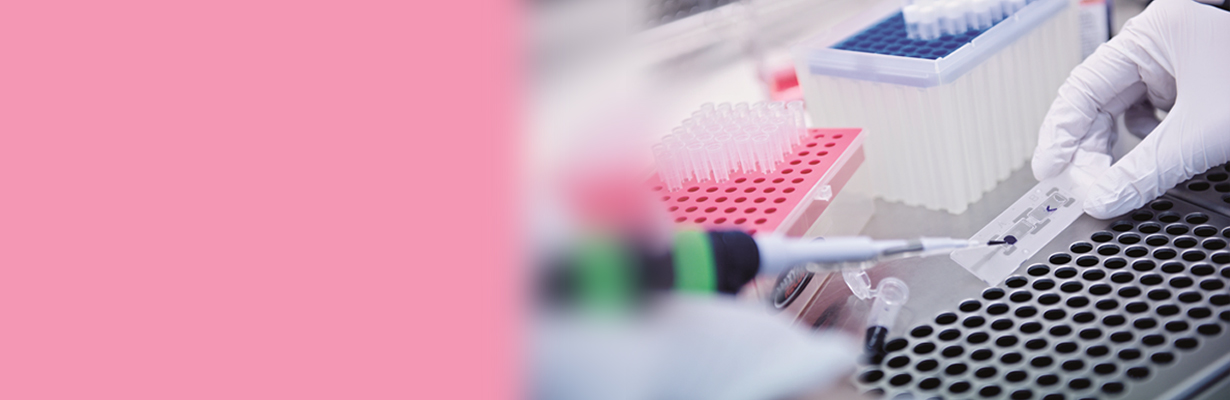 What are the steps taken by the Govt. to prevent and control AMR?