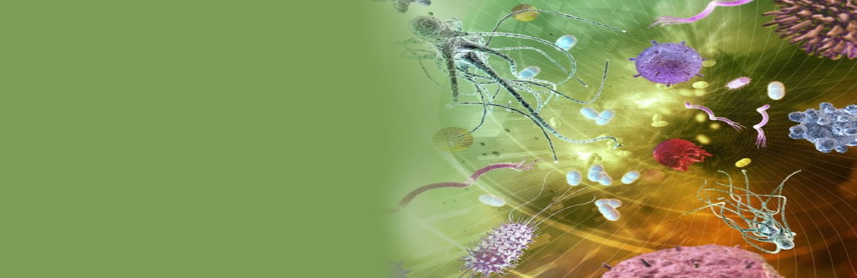 What are the common Gram-positive organisms showing AMR?