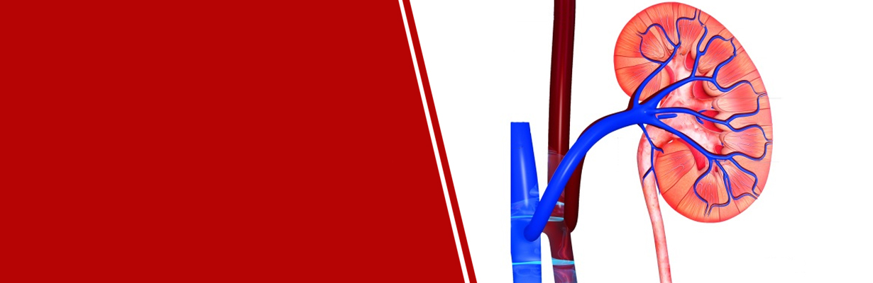 I have diabetes How often should I get renal function test done?