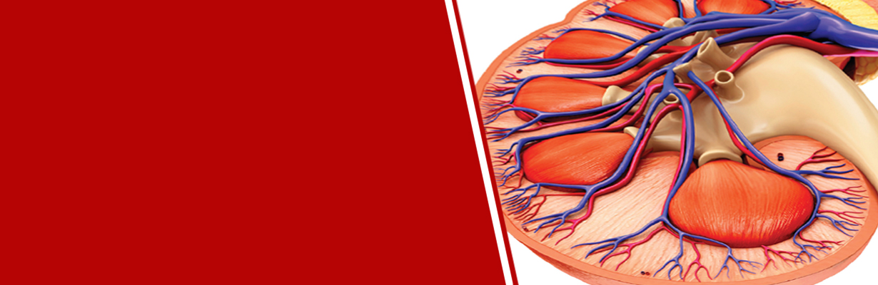 How is acute kidney injury and chronic kidney disease different?