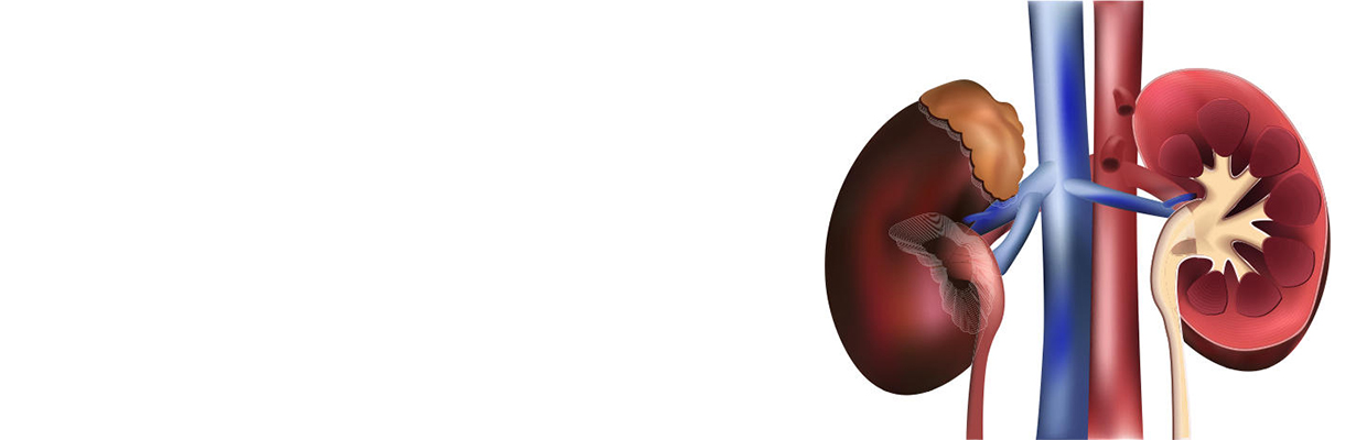 What are the common kidney questions that can be asked in exams?