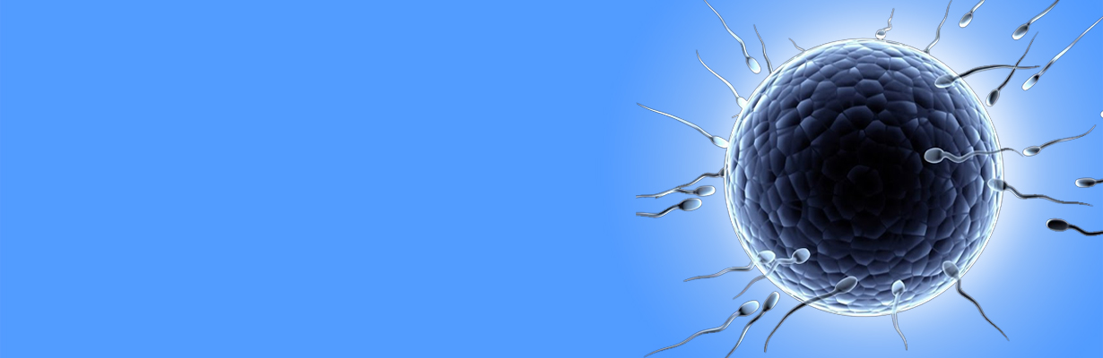 How long can we store the ova?