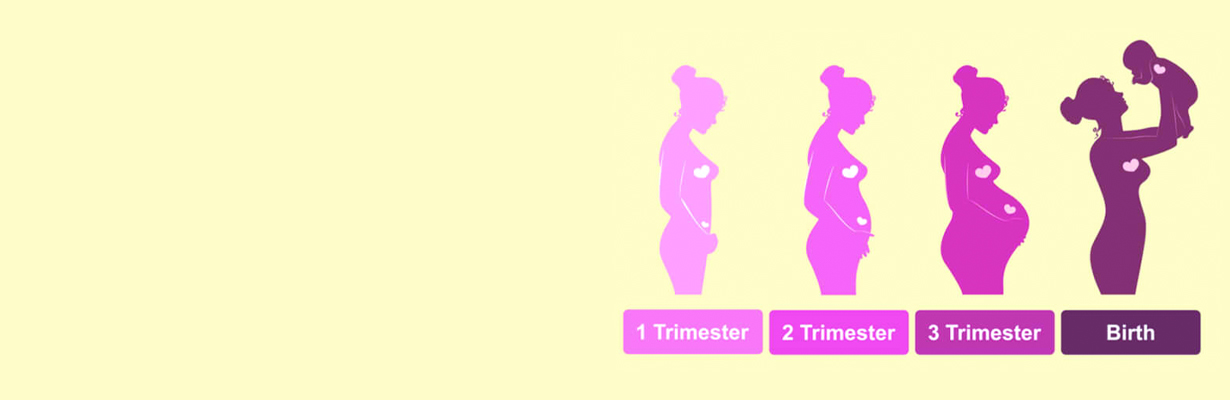 The First Trimester Of Pregnancy: What To Expect, Symptoms & Baby Development