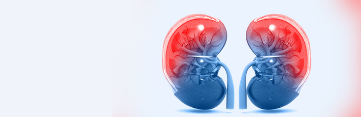 How should we manage the patient who has reached CKD 5?