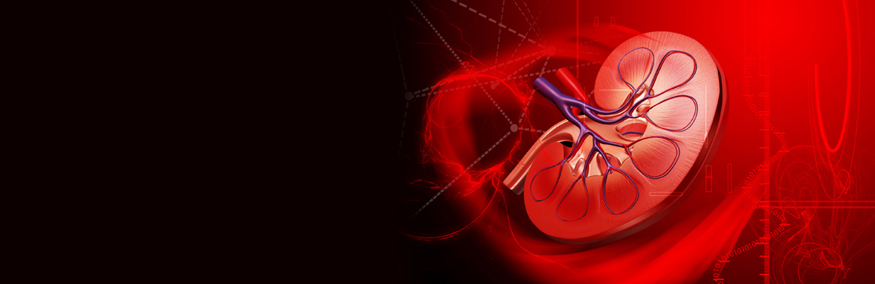 What is the role of erythropoietin in patients with CKD?