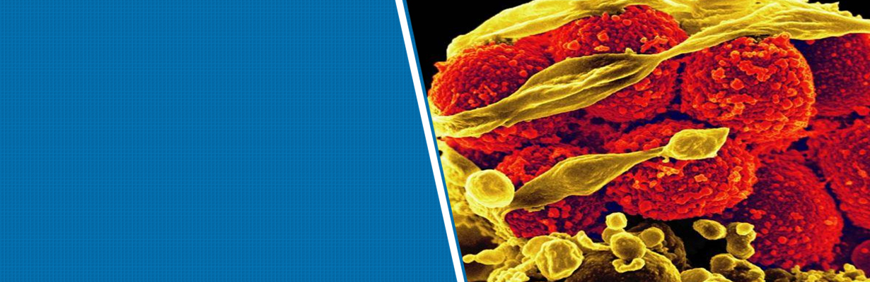 What are the common antibiotics showing resistance in India?