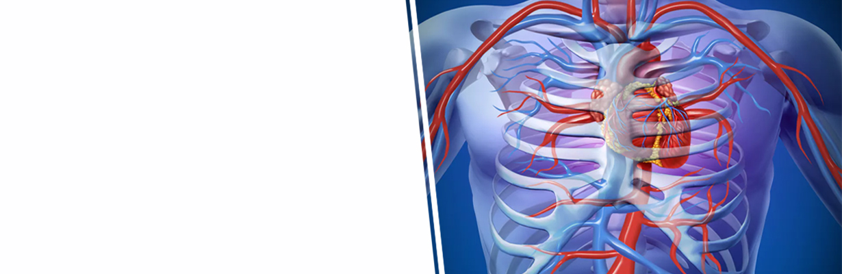 When should we discharge the patient after primary PCI?