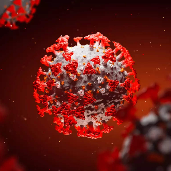 Covid-19 Infection Provides Protection against Reinfection for Roughly 10 Months