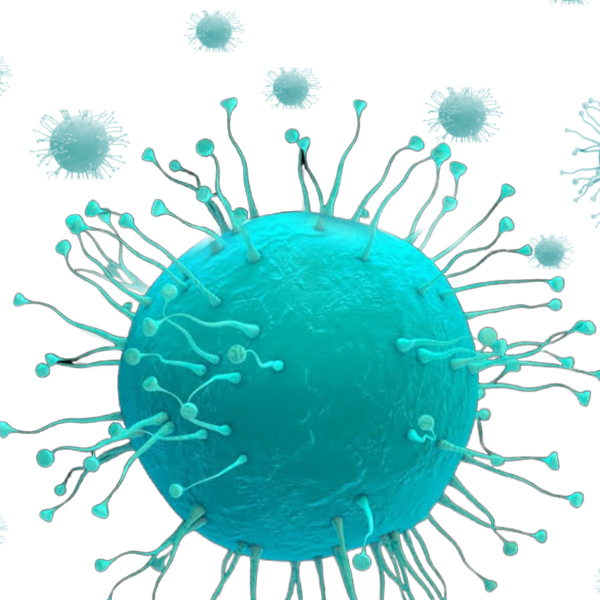 Everything You need to know about Outbreak of Novel Corona virus Infection in china