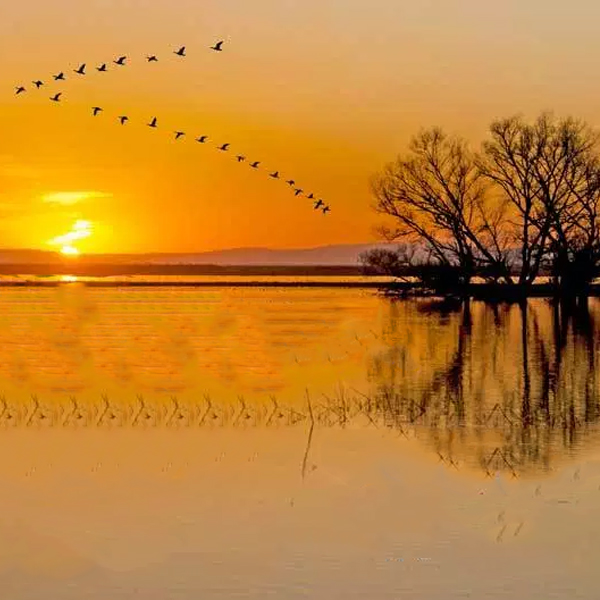 Meaning Of Nature: How It Affects Our Li...