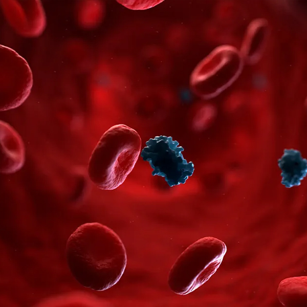 Metabolic Syndrome and Chronic Liver Disease