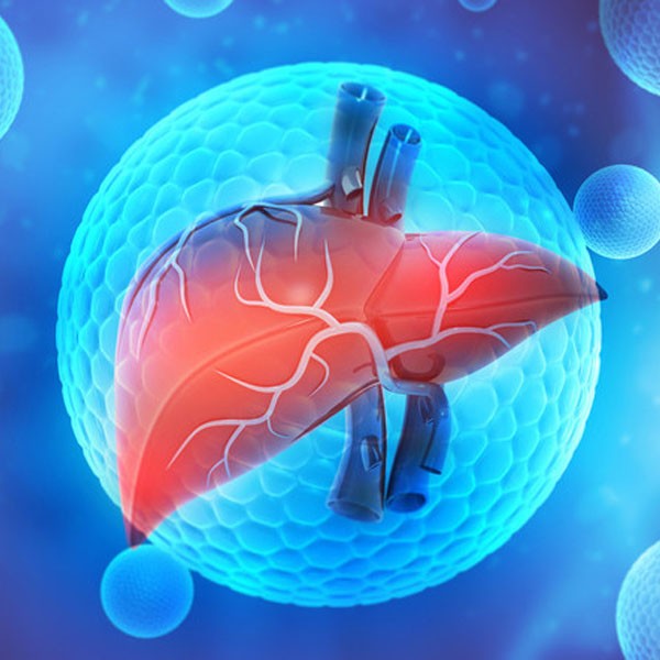 Pathogenesis Of Hepatitis: How It Develops and Its Different Types