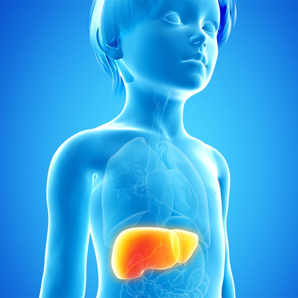 Prevalence of Liver Diseases in Children