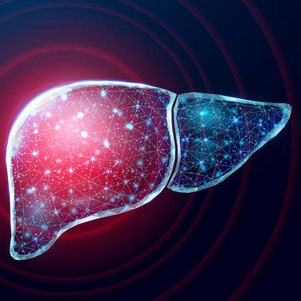The Role of Antioxidants in Liver Care