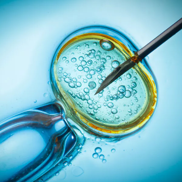 What are the unethical acts in IVF?