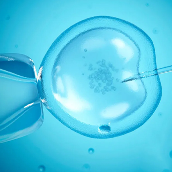 What are various IVF techniques?