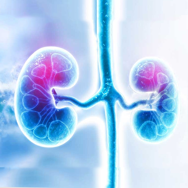 What are the causes of acute kidney injury?