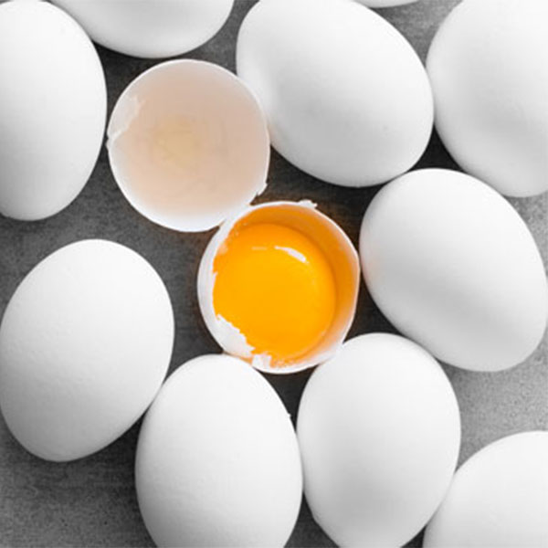 Can I eat eggs if I have kidney disease? Medbytes