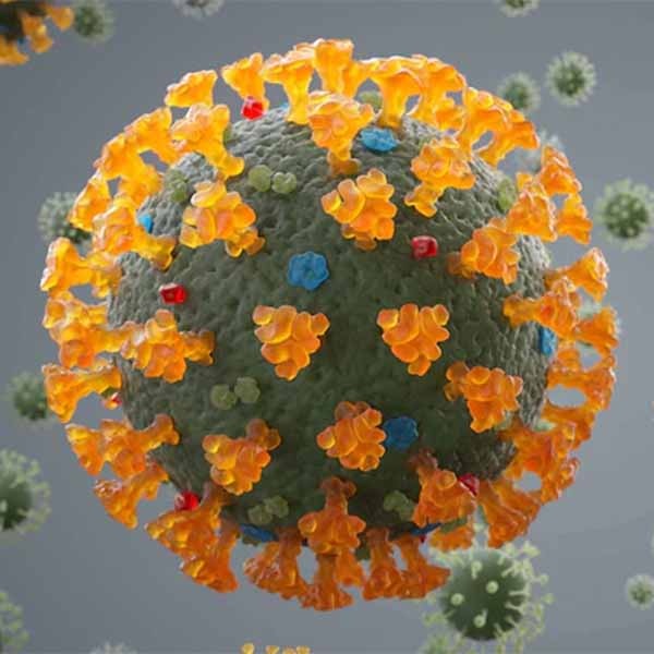 New Coronavirus Variant - IHU