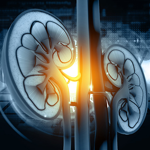 Should all patient of CKD be given iron?