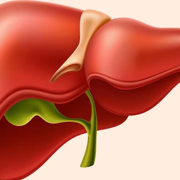 हेपेटोमेगाली: जटिलताएं और जोखिम कारक (Hepatomegaly: Jatiltayen aur jokhim karak)