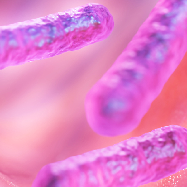 प्लेग क्या है? कारण, लक्षण और इलाज What is Plague in Hindi