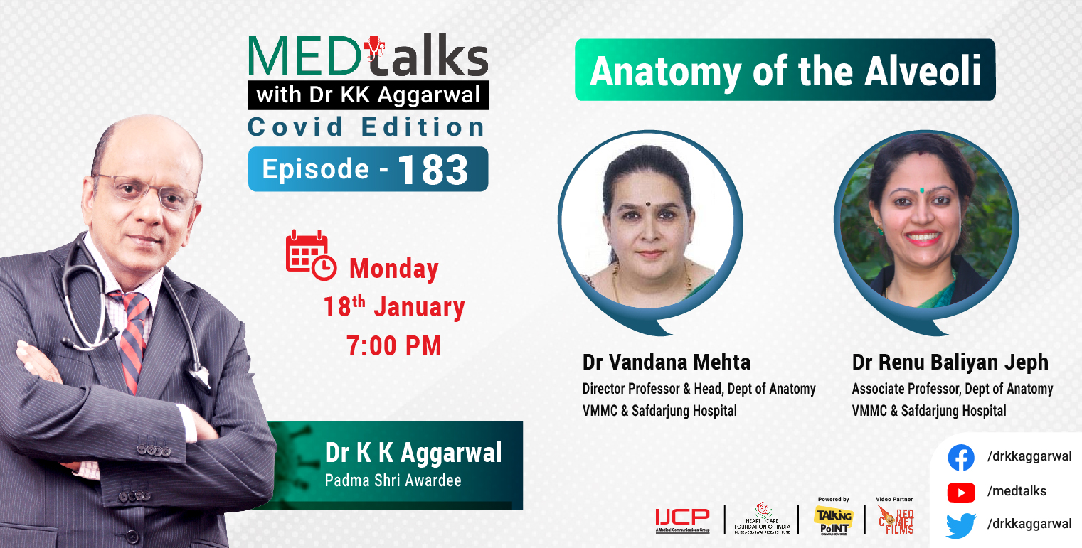 Anatomy of the Alveoli