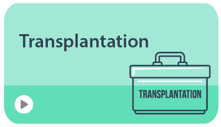 Transplantation